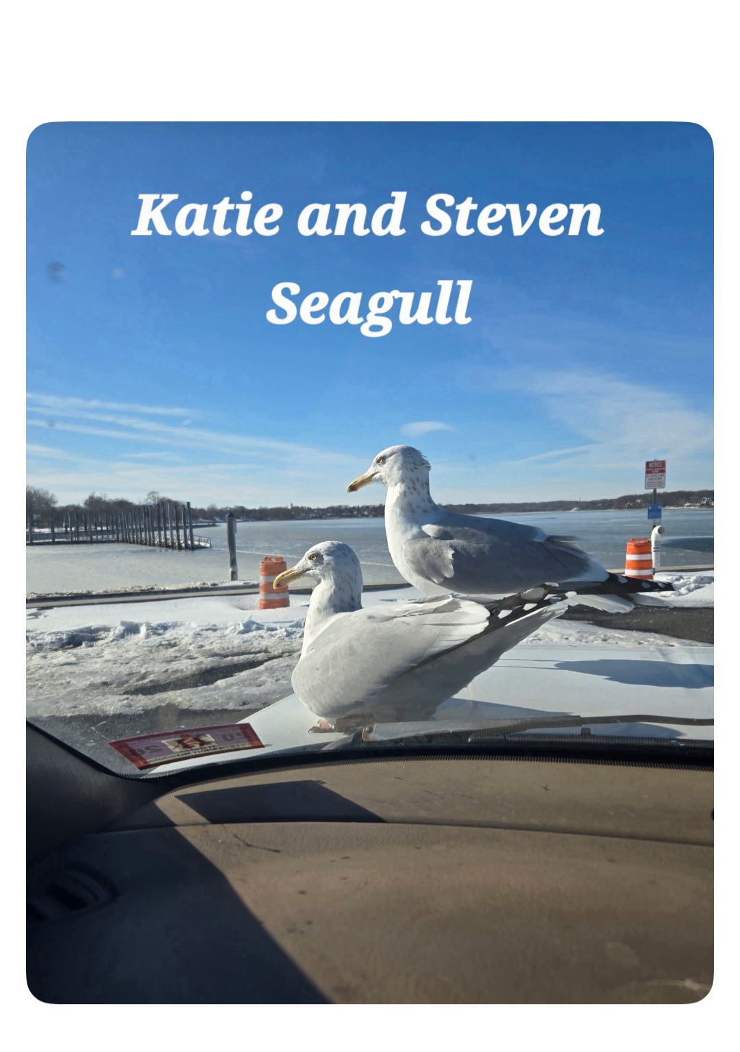 Meme by robinhoodprinceofmemes