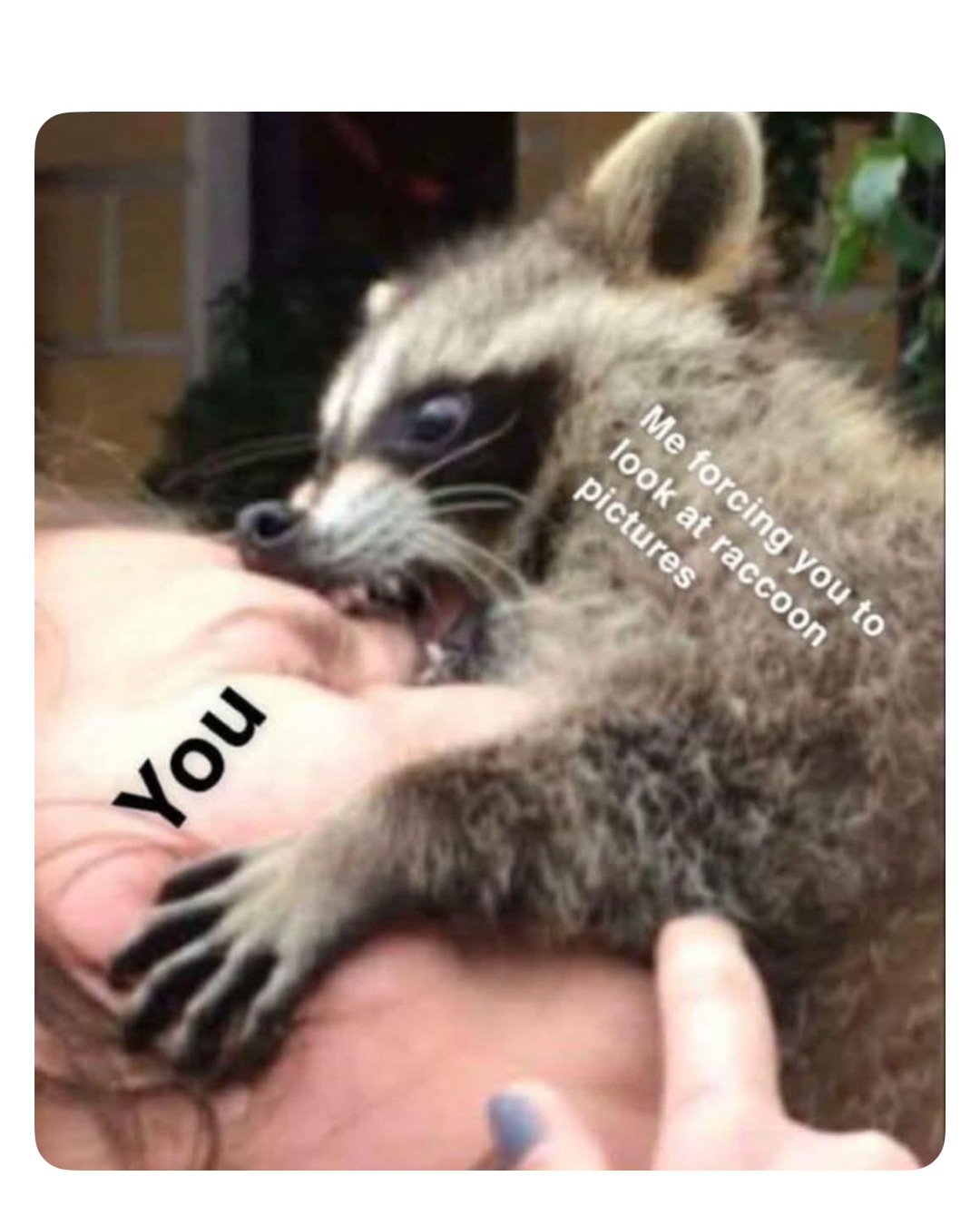 Meme by robinhoodprinceofmemes