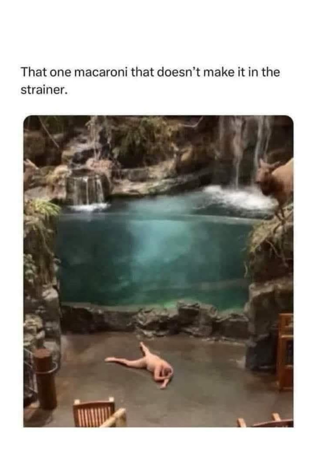 Meme by robinhoodprinceofmemes