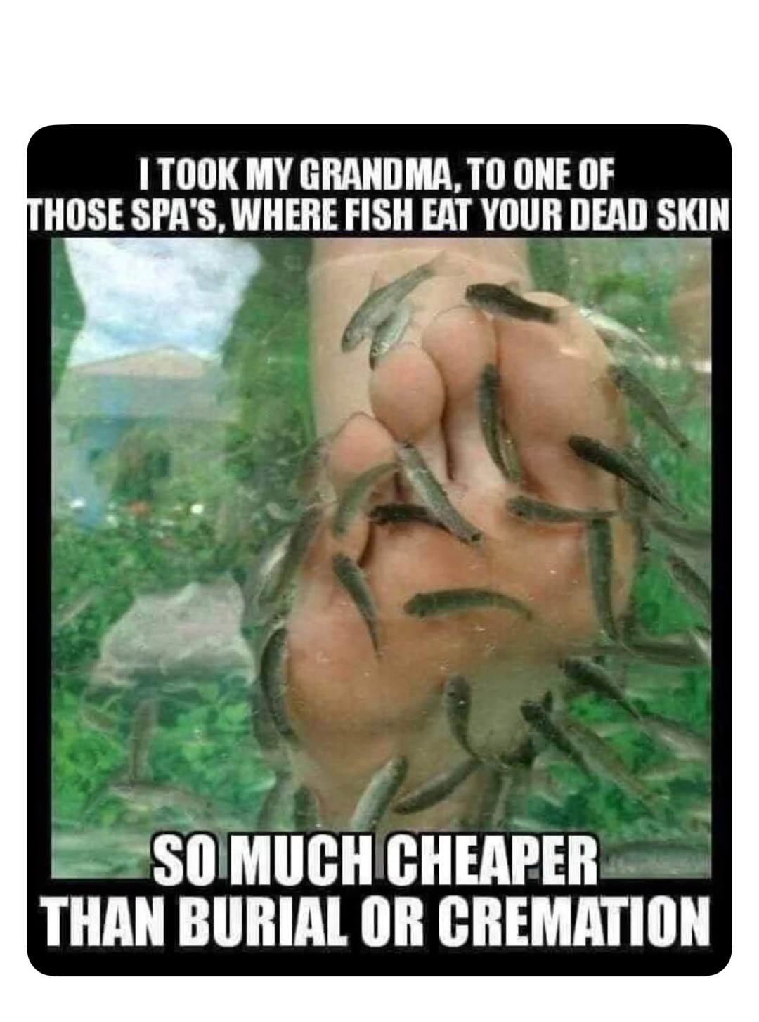 Meme by robinhoodprinceofmemes