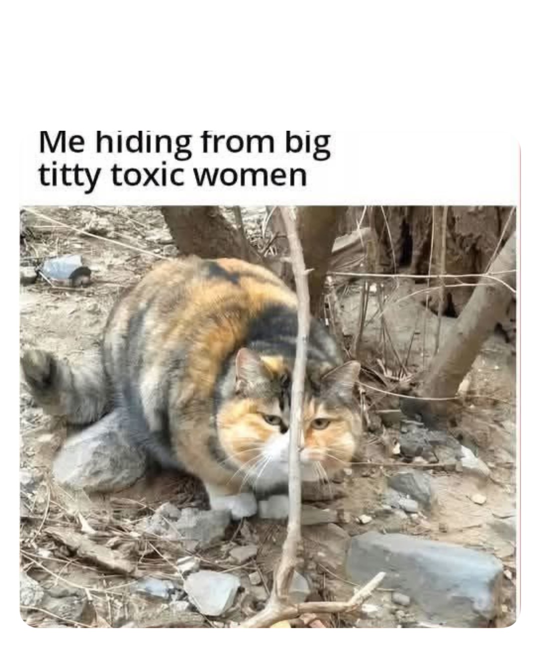 Meme by robinhoodprinceofmemes