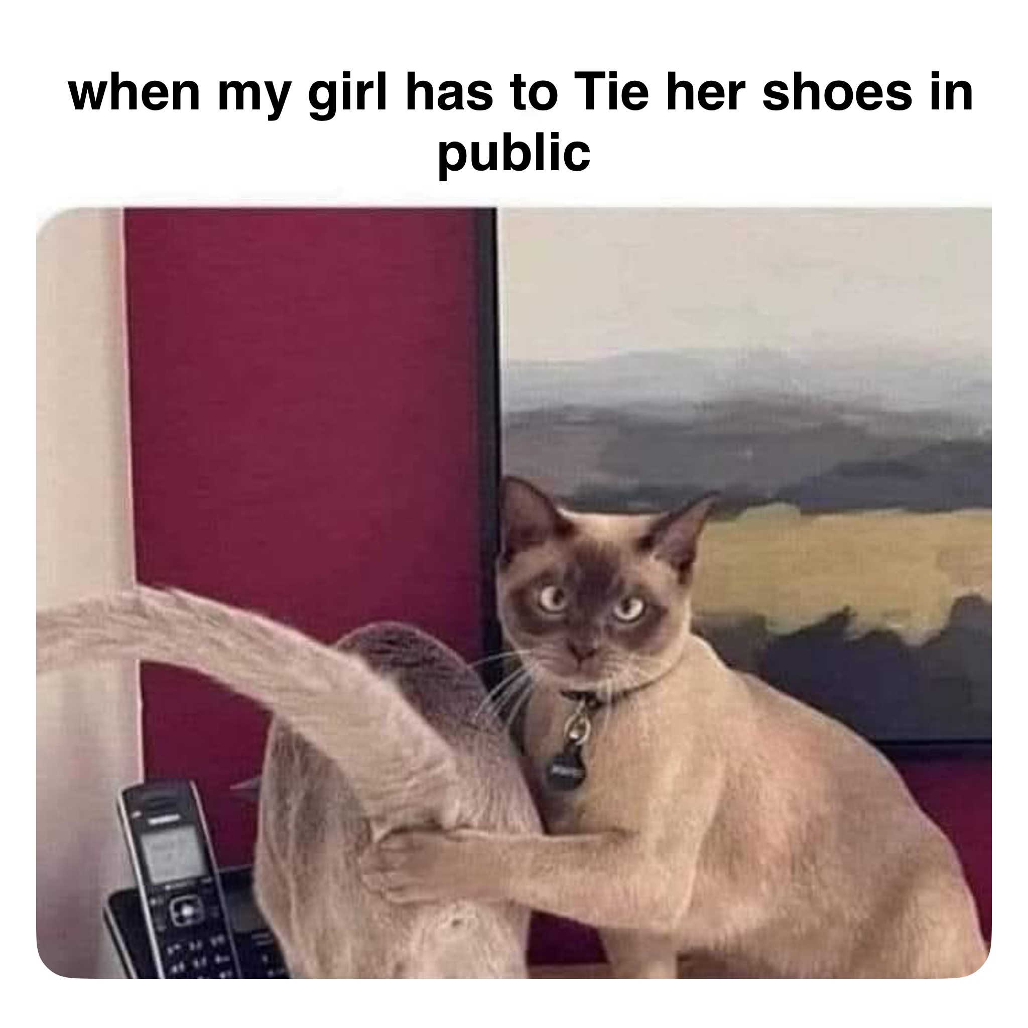 Meme by robinhoodprinceofmemes