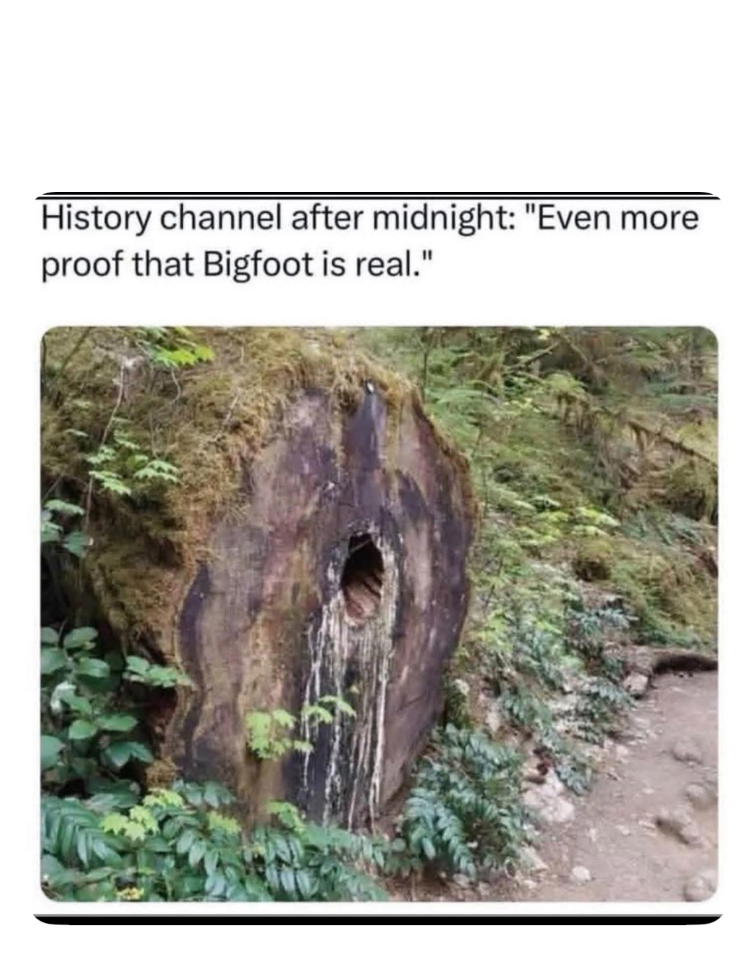 Meme by robinhoodprinceofmemes