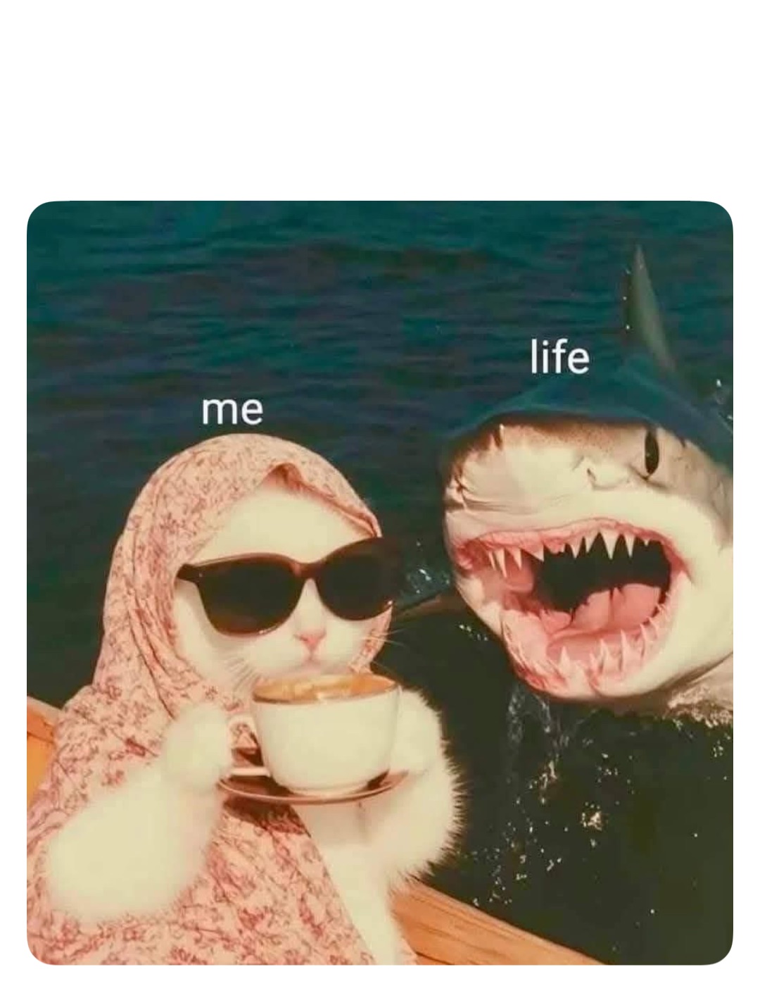 Meme by robinhoodprinceofmemes