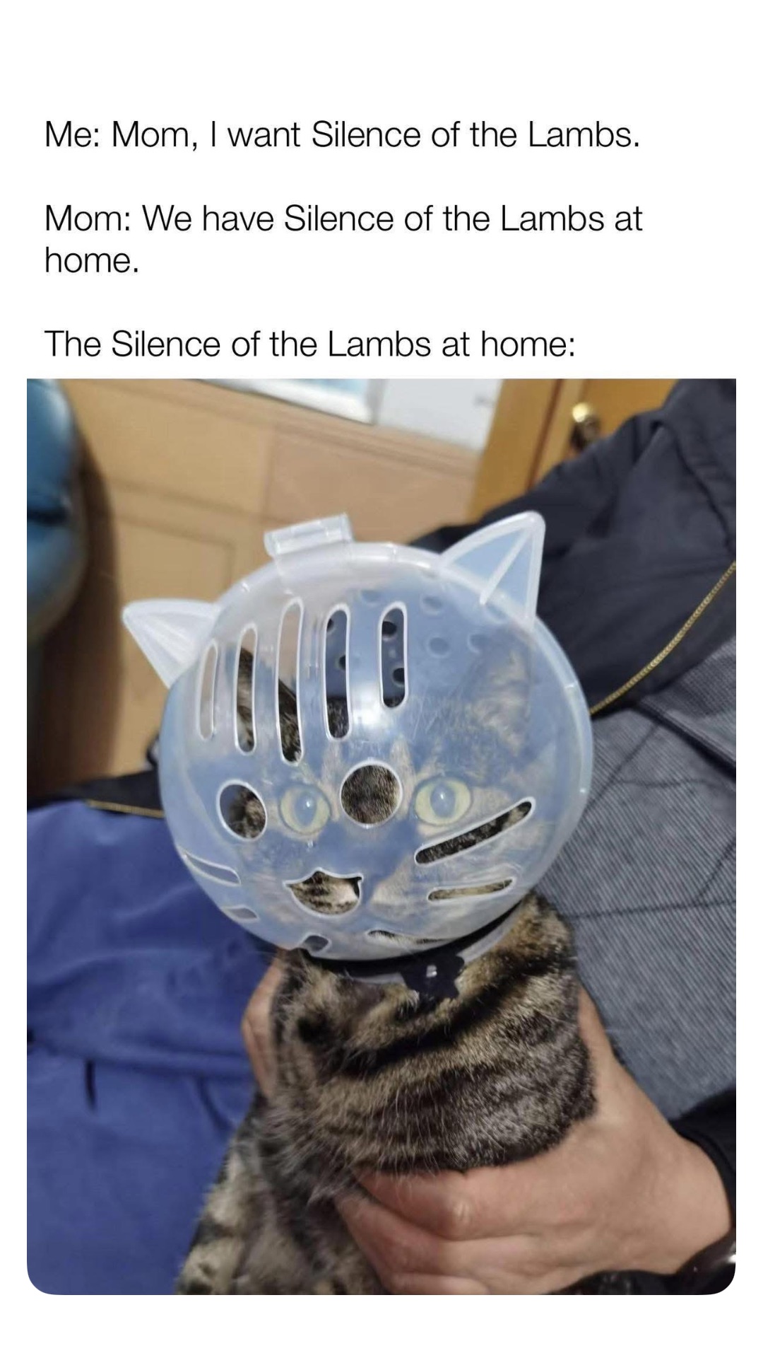 Meme by robinhoodprinceofmemes