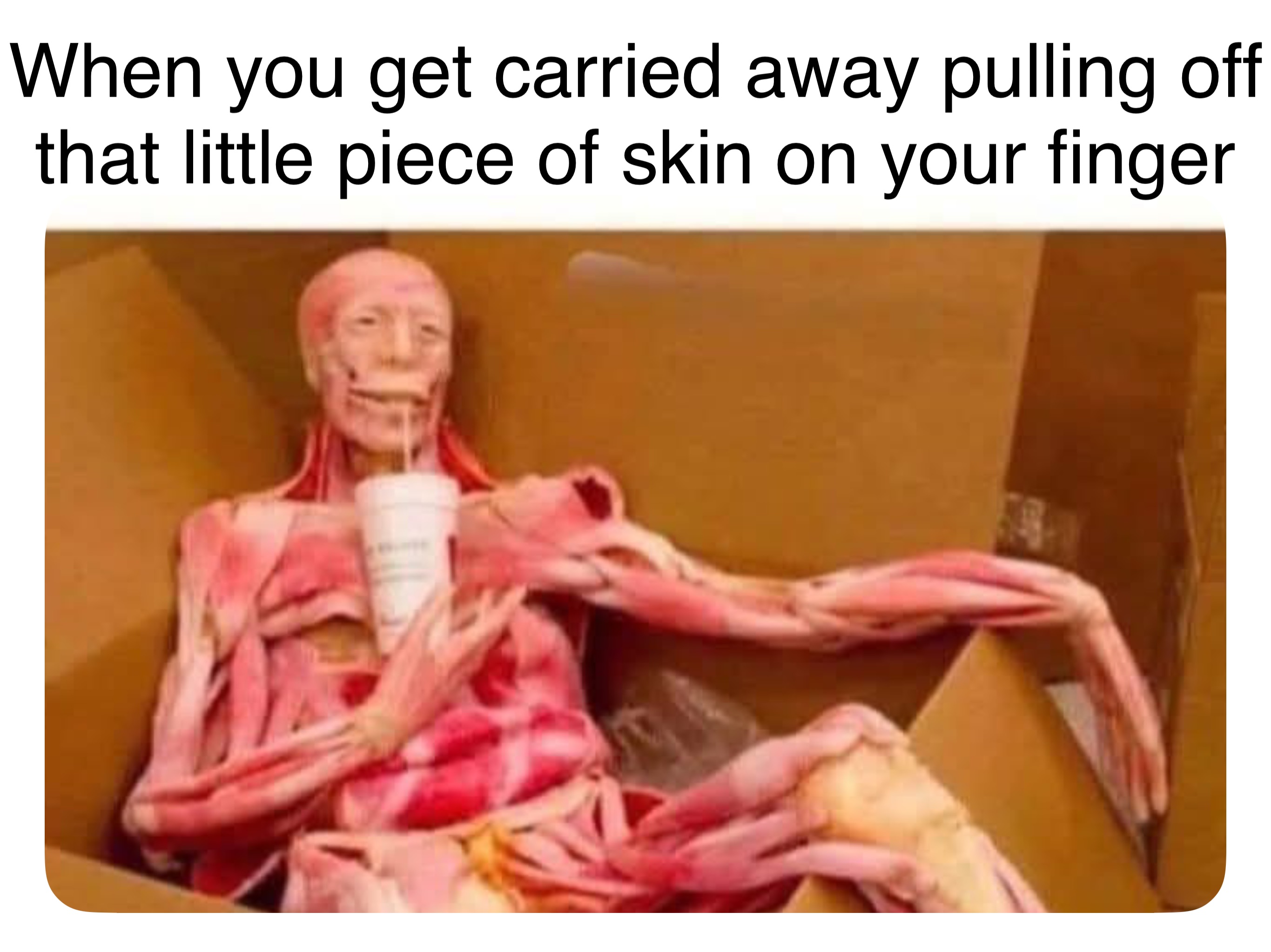 Meme by robinhoodprinceofmemes