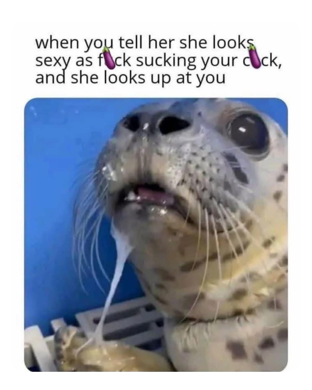 Meme by robinhoodprinceofmemes