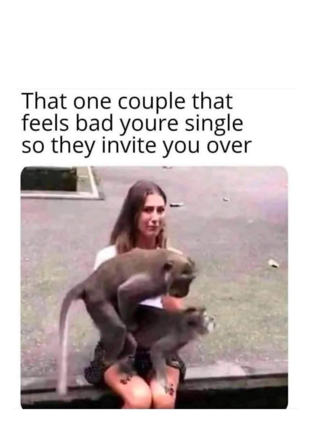 Meme by robinhoodprinceofmemes