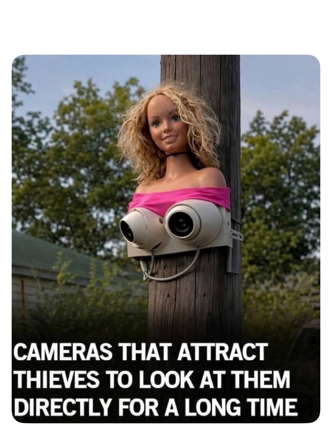 Meme by robinhoodprinceofmemes