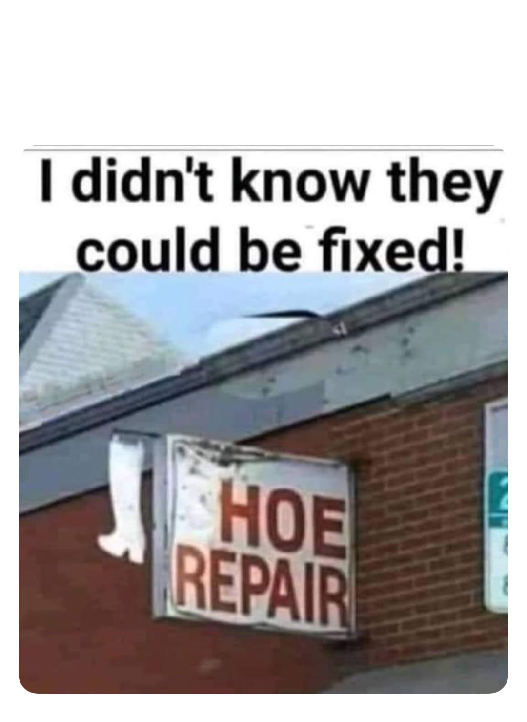 Meme by robinhoodprinceofmemes