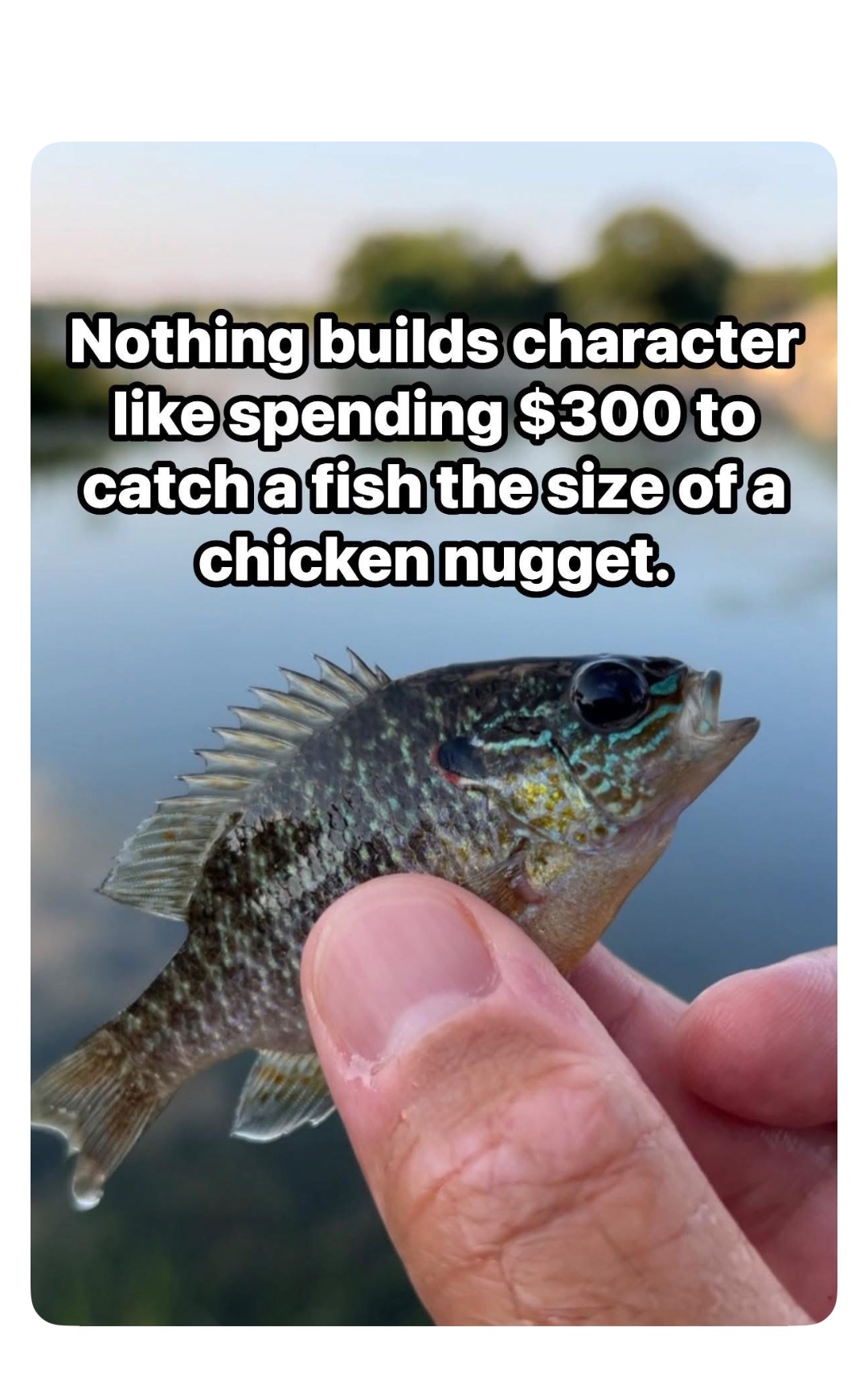 Meme by robinhoodprinceofmemes