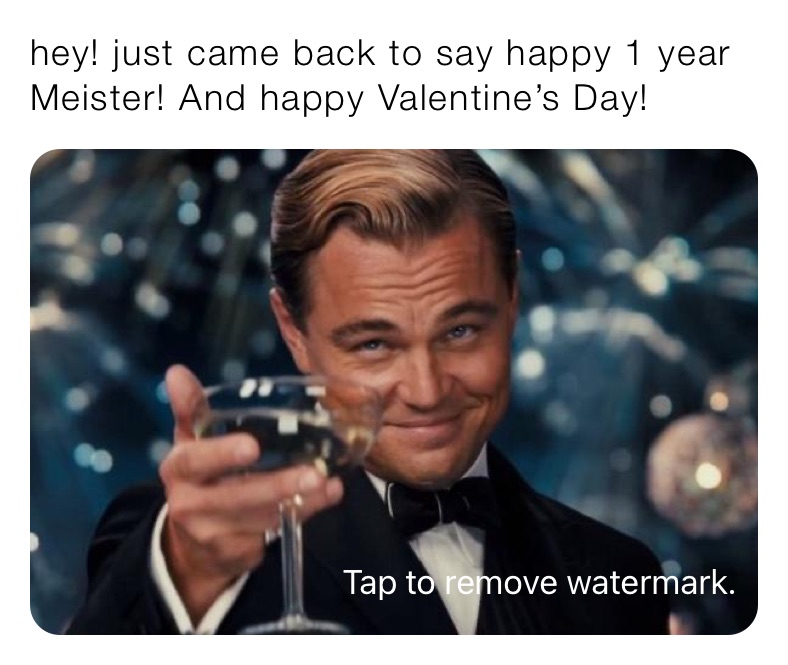 hey! just came back to say happy 1 year Meister! And happy Valentine’s Day!