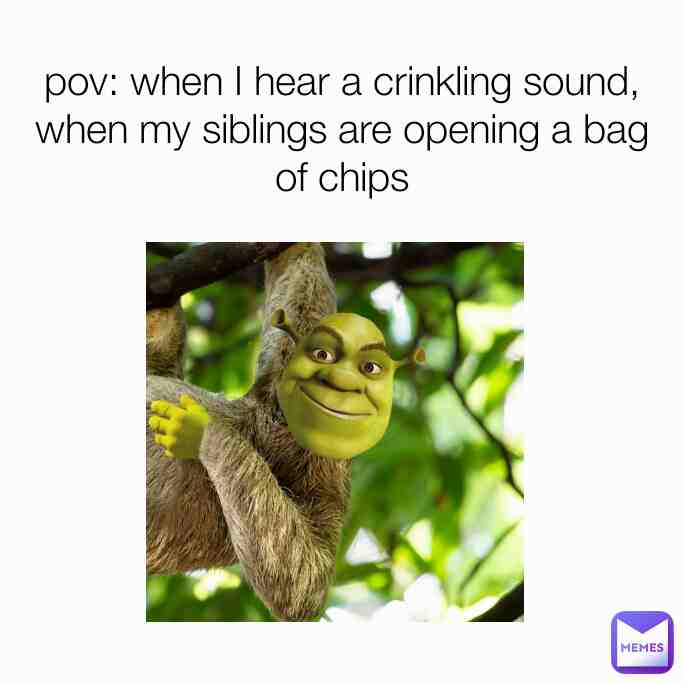 Meme shared by @bedazzled.blue.412