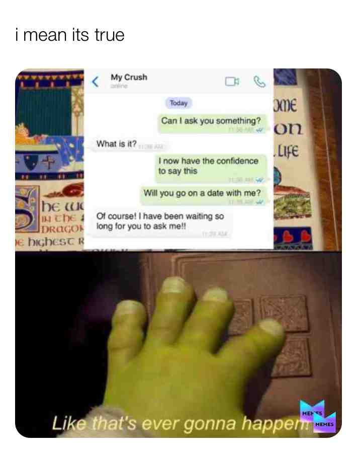 loll #memes #funnymemes