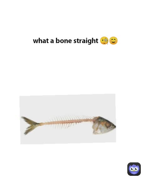 what a bone straight 🧐☺️