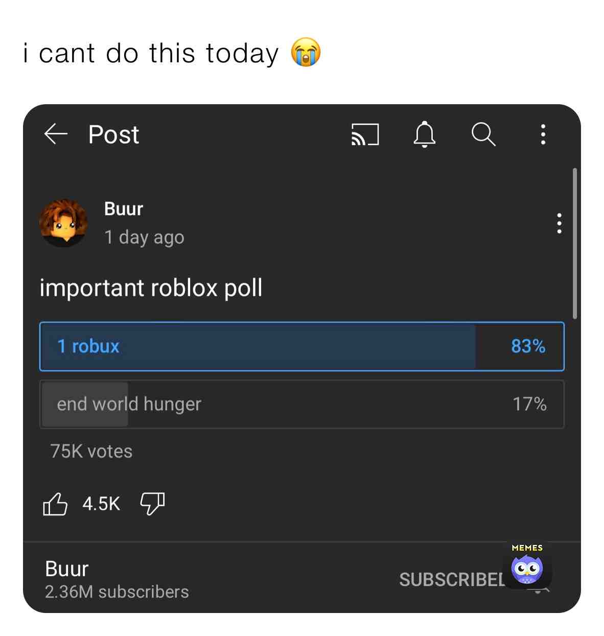 is this how democracy works #youtube #important #announcement #roblox #memes #dankmemes #dank #what #h #cheese #help #icant