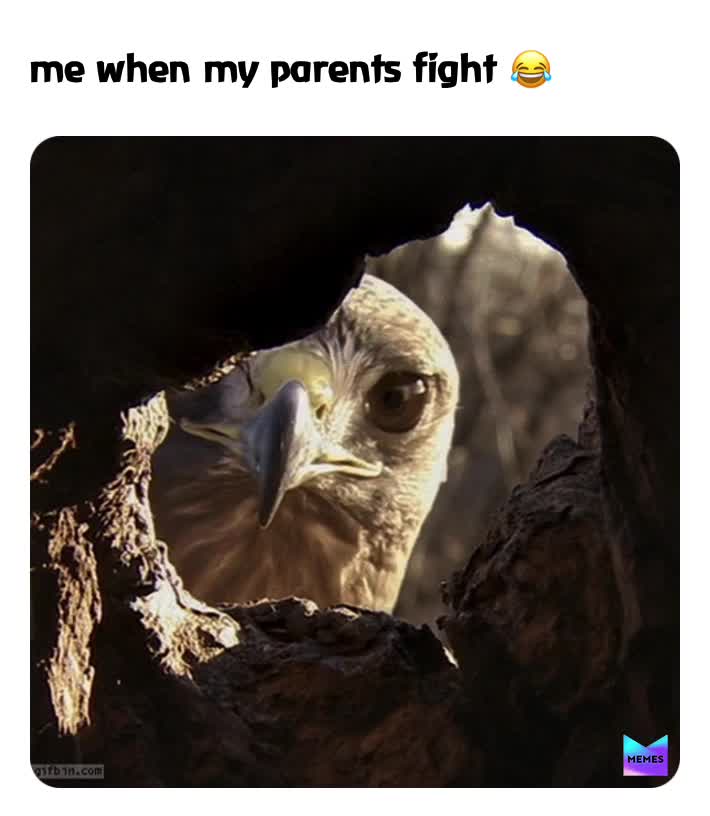 #Related  #before  #loved  #parents  #whocares?  #okBoomer