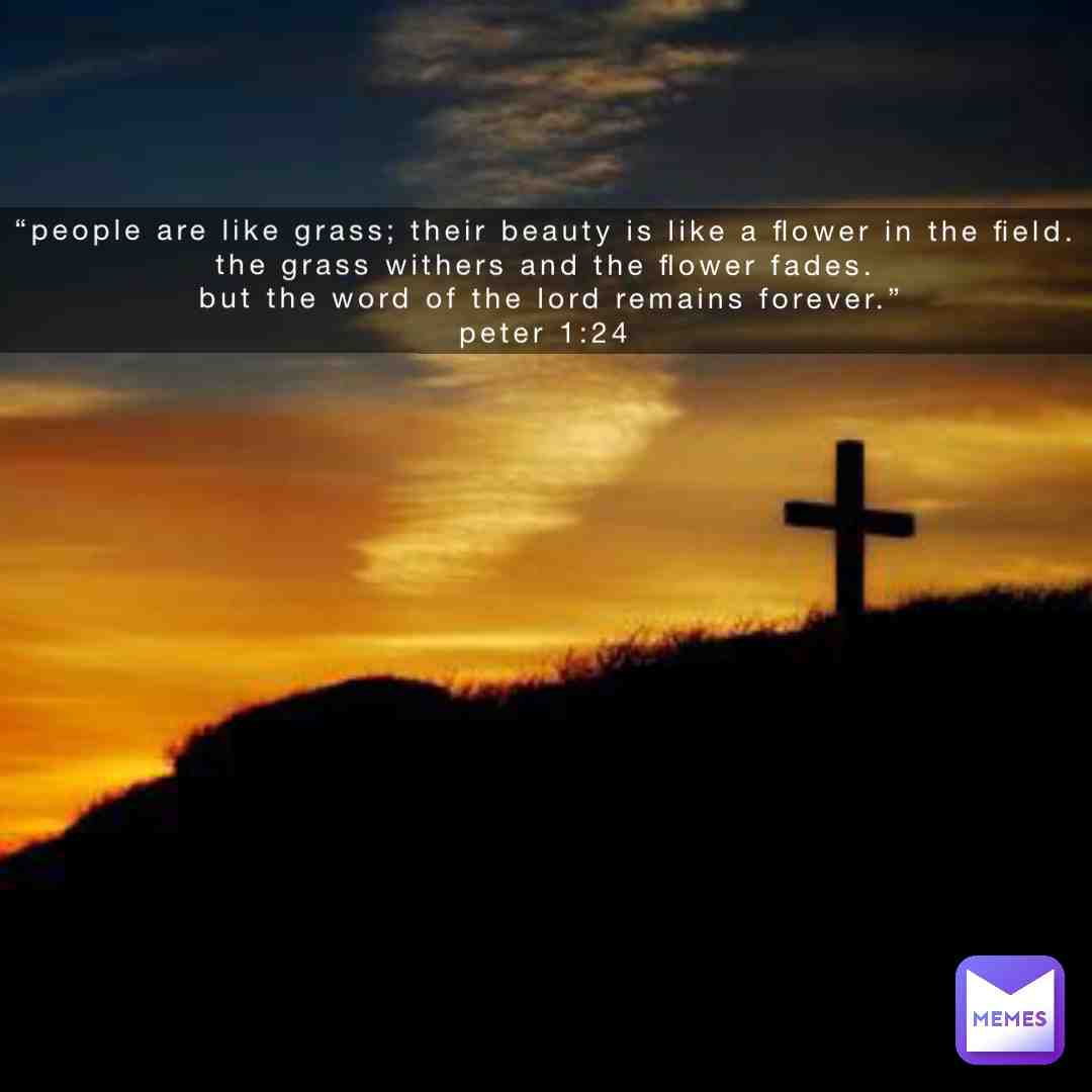 #bibleverse  #scripture