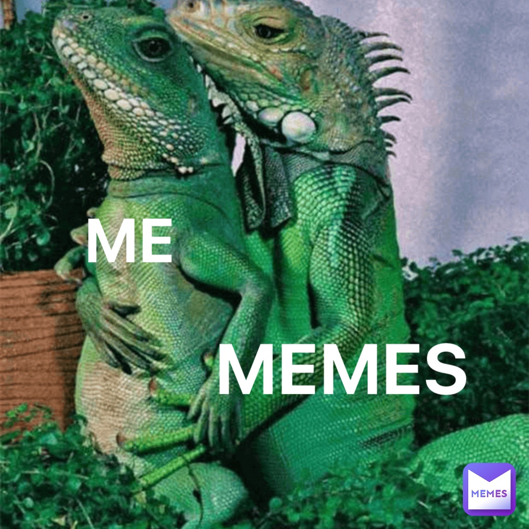 ME MEMES