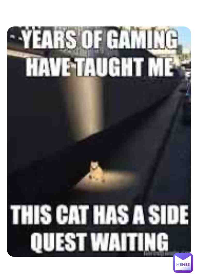 Cat #cat #funny #meme #hahah #laugh #fun #a #b #c #d #e #f #g #h #i #j #k #l #m #n #o #p #q #r #s #t #u #v #w #x #y #z #laughter