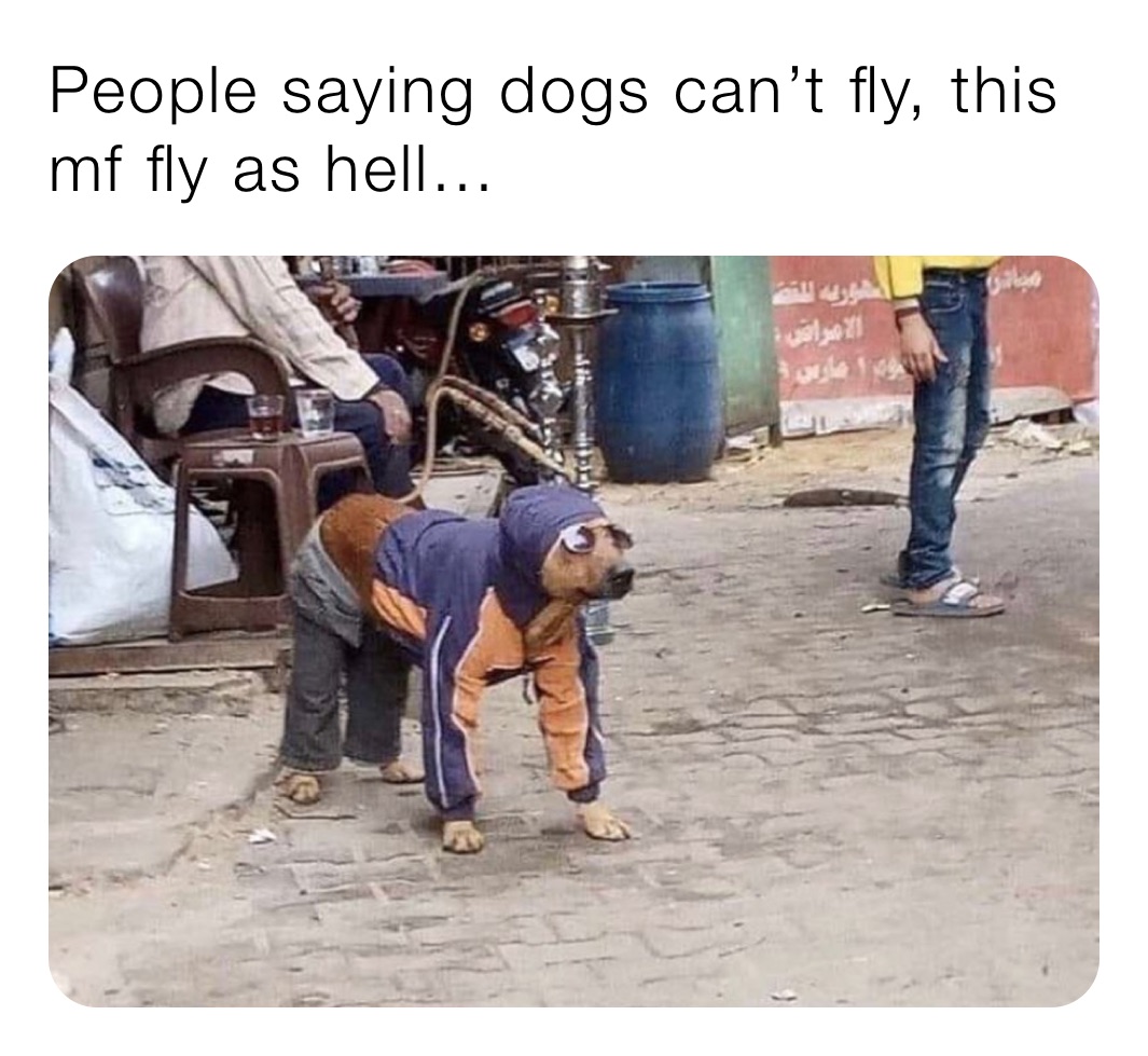 People saying dogs can’t fly, this mf fly as hell…