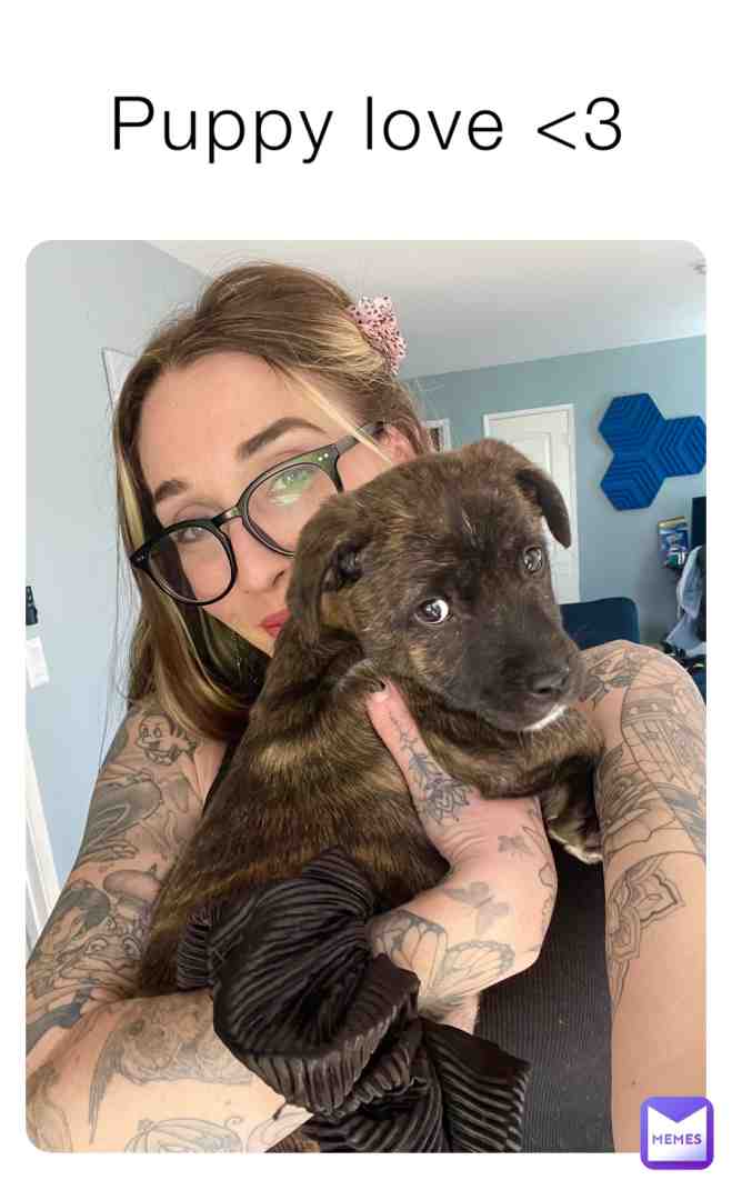 Meme shared by @MissBandit