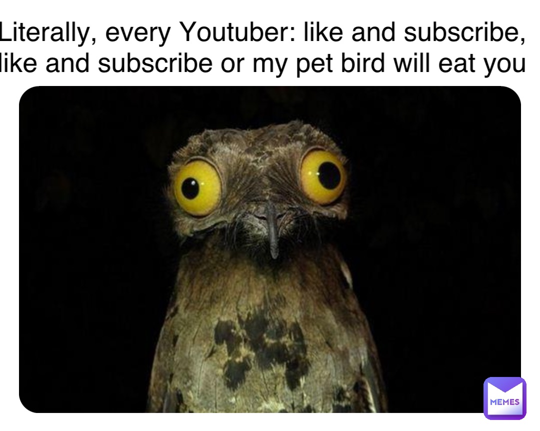 Double tap to edit Literally, every Youtuber: like and subscribe, like and subscribe or my pet bird will eat you