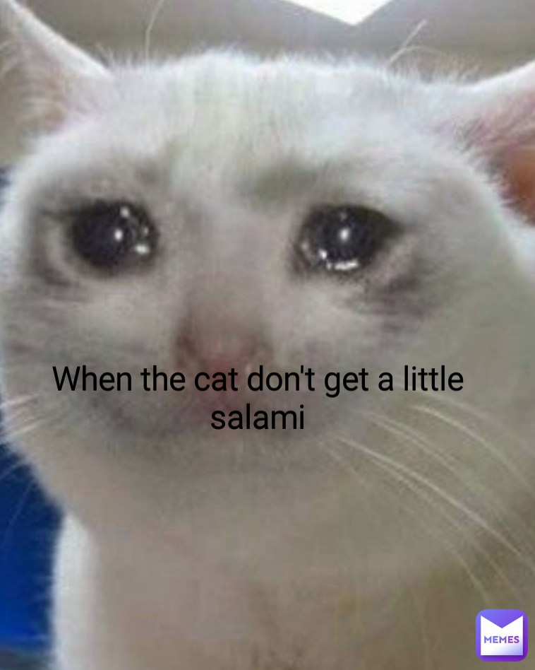 When the cat don't get a little salami CopyRightStrike1117 Memes