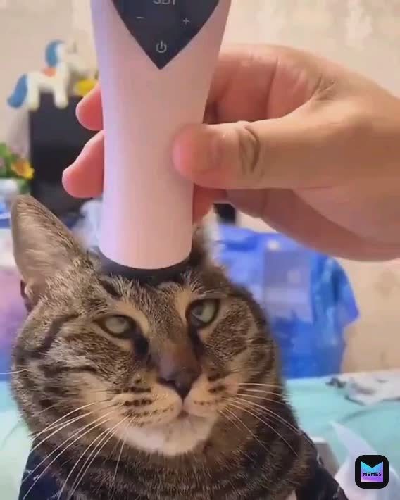 Meme by krizsa_alexis