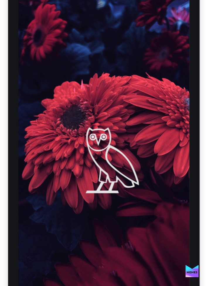 Meme by Memes_Channel