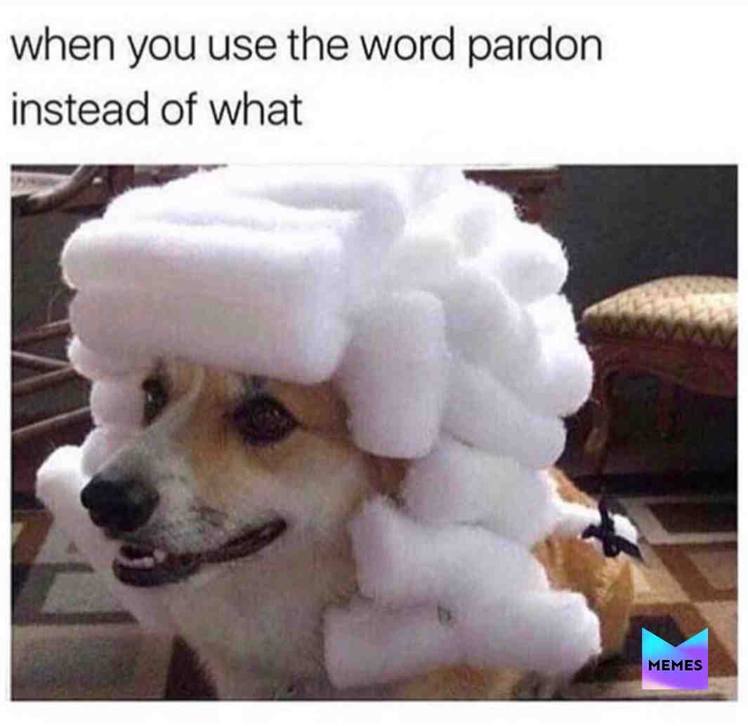 #meme  #meme  #dank  #dankmemes  #cereal  #memer  #fortnite  #memez  #memestgram  #memelord  #funnymemes  #shrek  #shrekthemusical  #tiktok  #tiktokmemes  #bongocat  #flextape  #zucc  #funny  #life  #memess  #memestar  #2019  #thanos  #thanoscar
