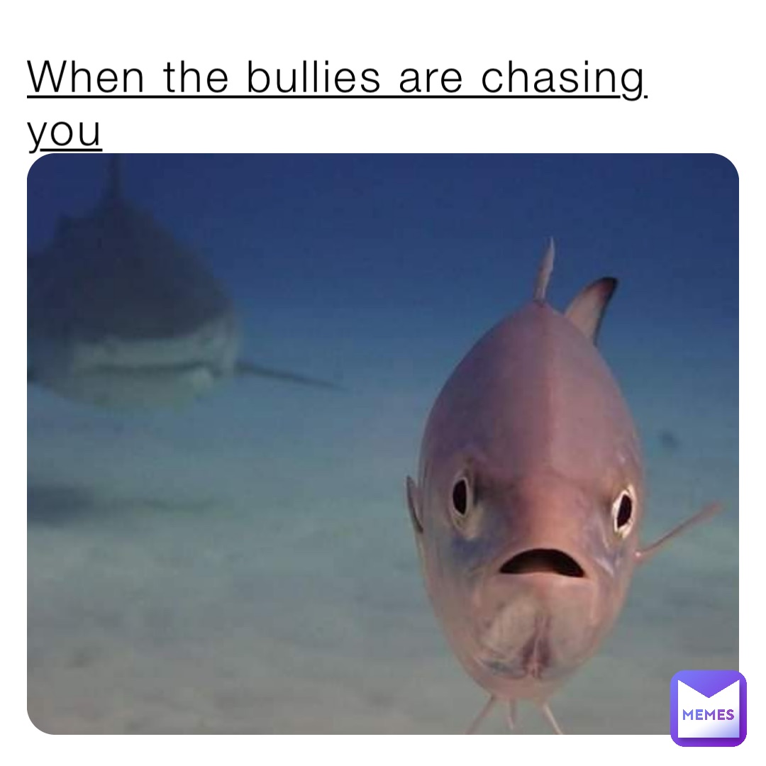When the bullies are chasing you
