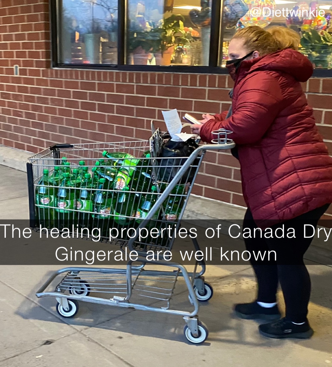 The healing properties of Canada Dry Gingerale are well known