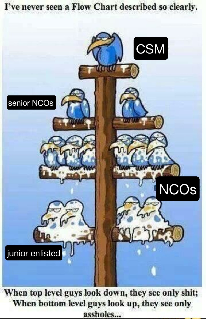 Meme by culturedsalt922