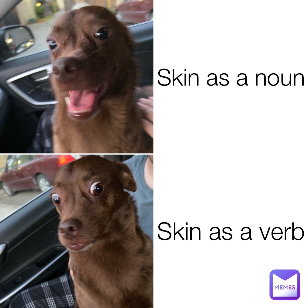 Skin as a noun Skin as a verb