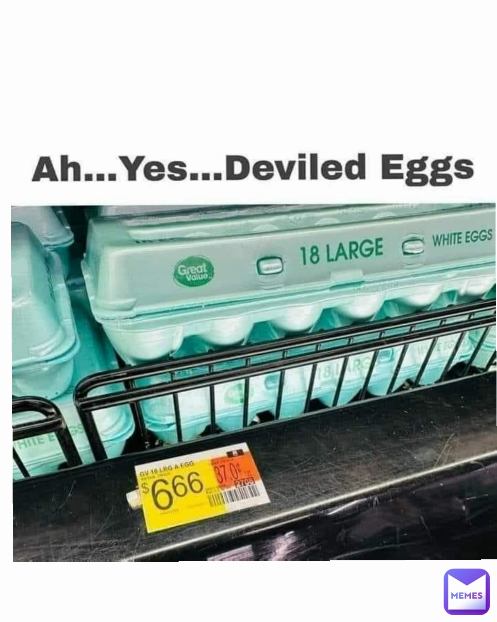Type Text