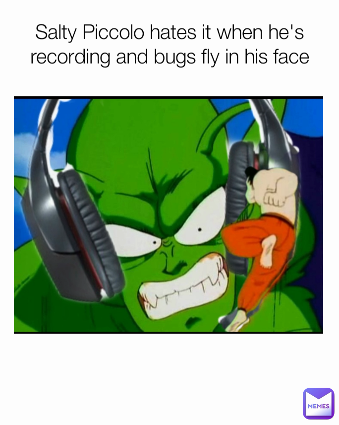 Salty Piccolo hates it when he's recording and bugs fly in his face