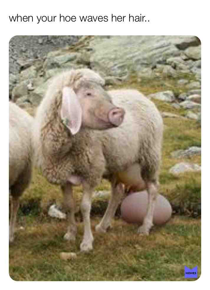 #sheep #pig #curly #waves #hoe #bae #hair
