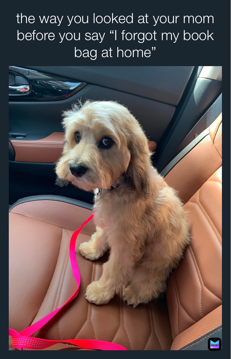 Meme by tomato_tiddies