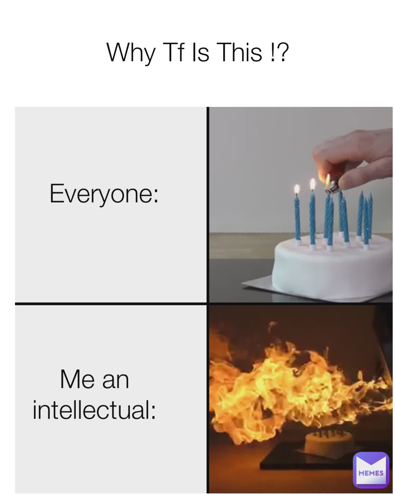 Why Tf Is This !? Everyone: Me an intellectual: