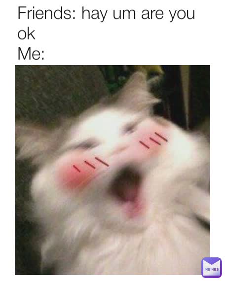 Friends: hay um are you ok
Me: