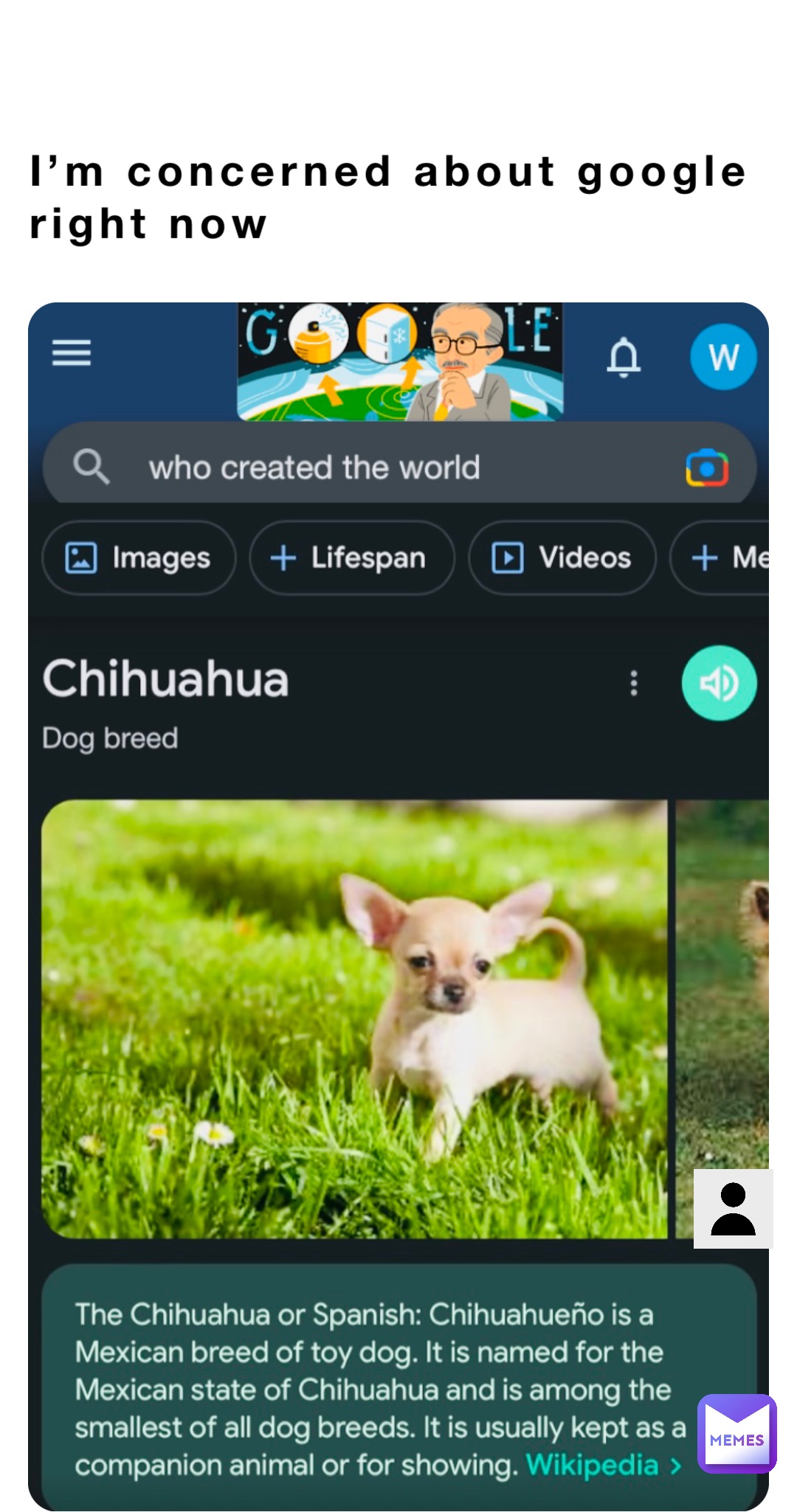 Meme by kermit_hansen