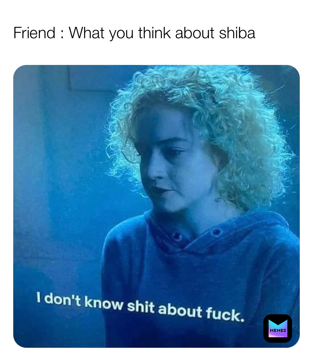 Friend : What you think about shiba 