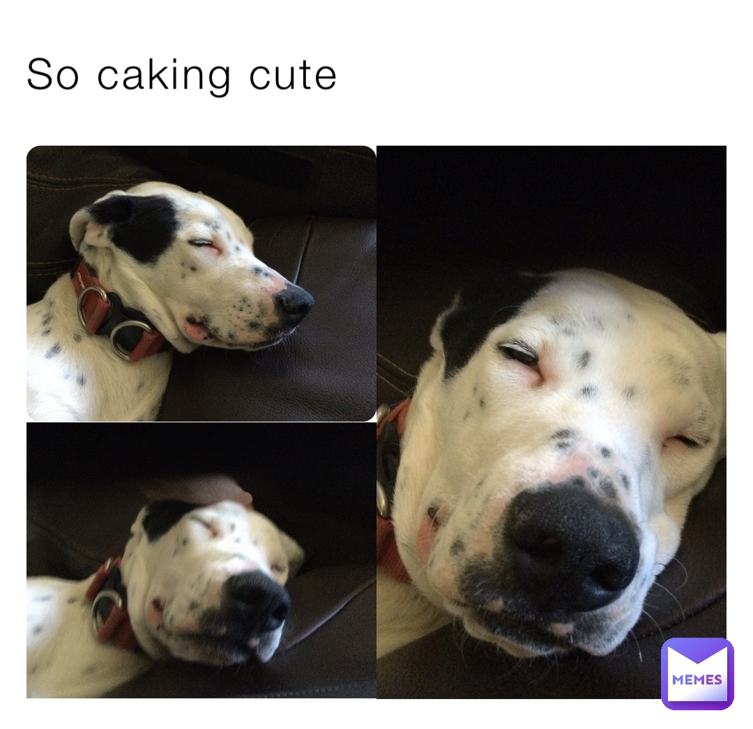 So caking cute