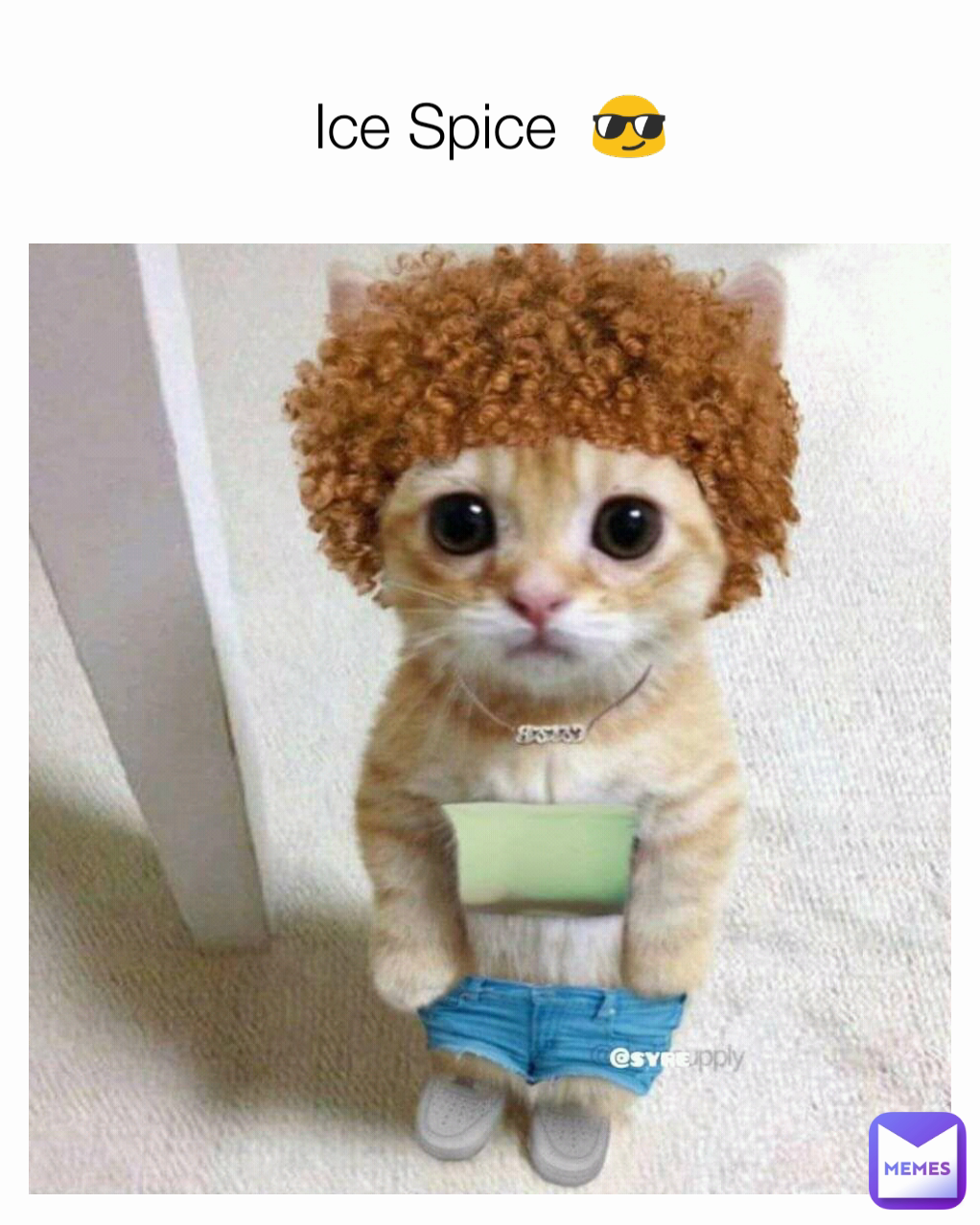 Ice Spice 😎 | @josephotoo | Memes