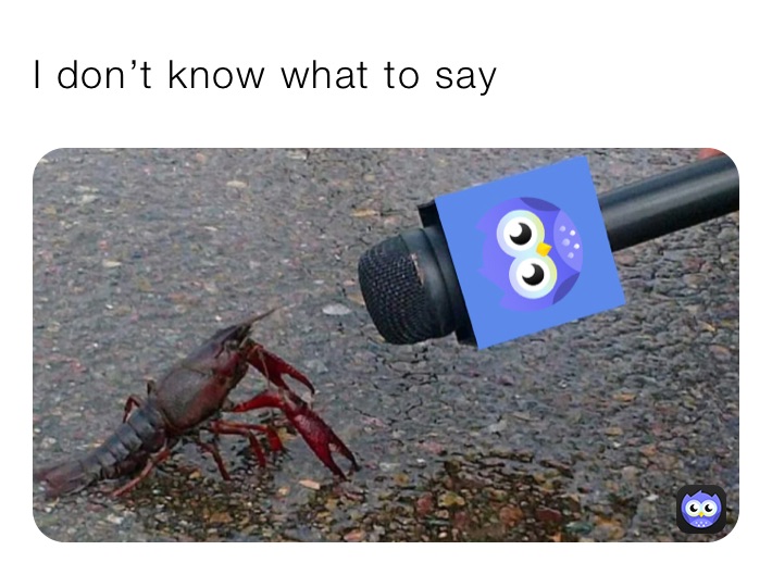 I don’t know what to say