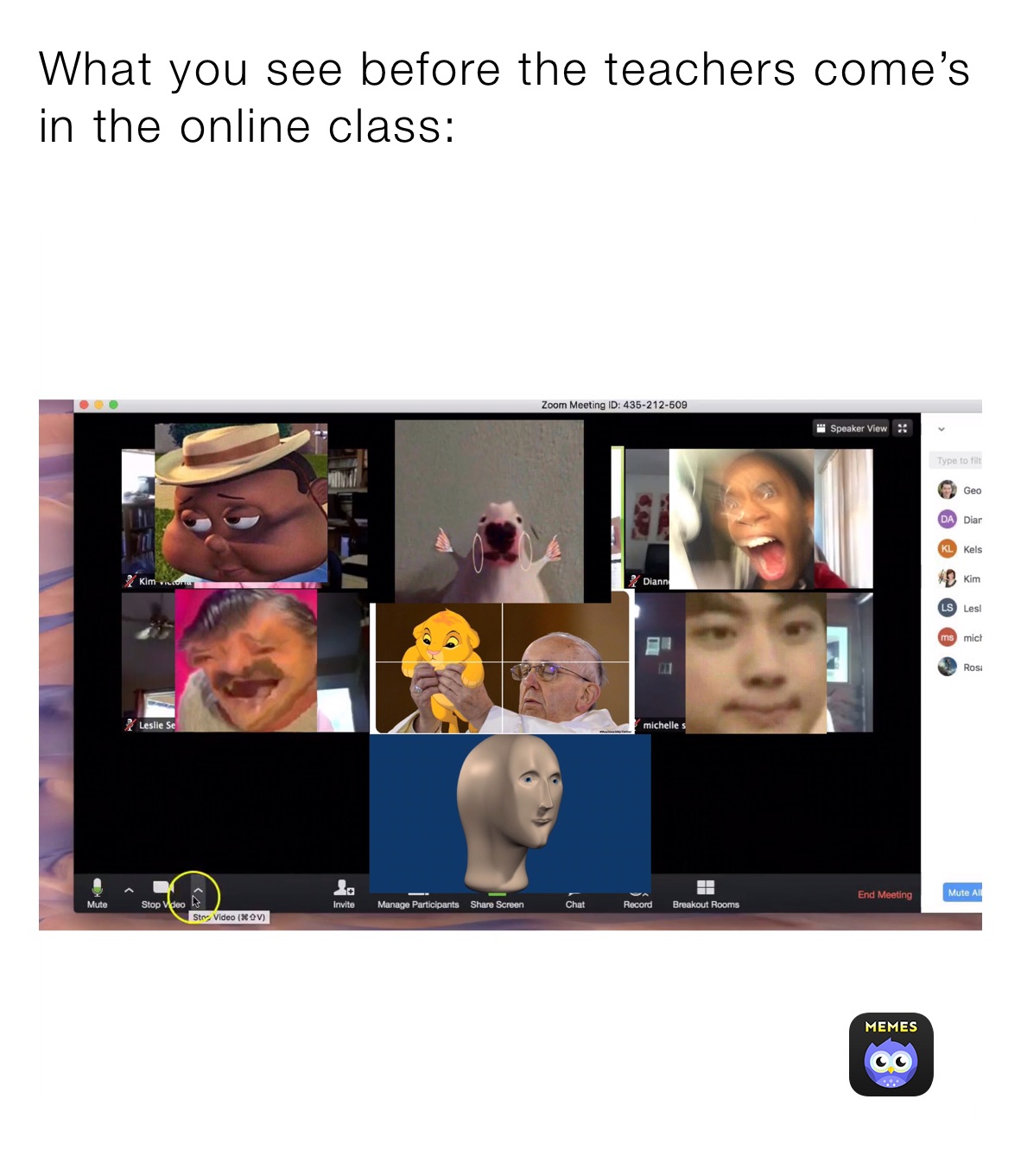 What you see before the teachers come’s in the online class: