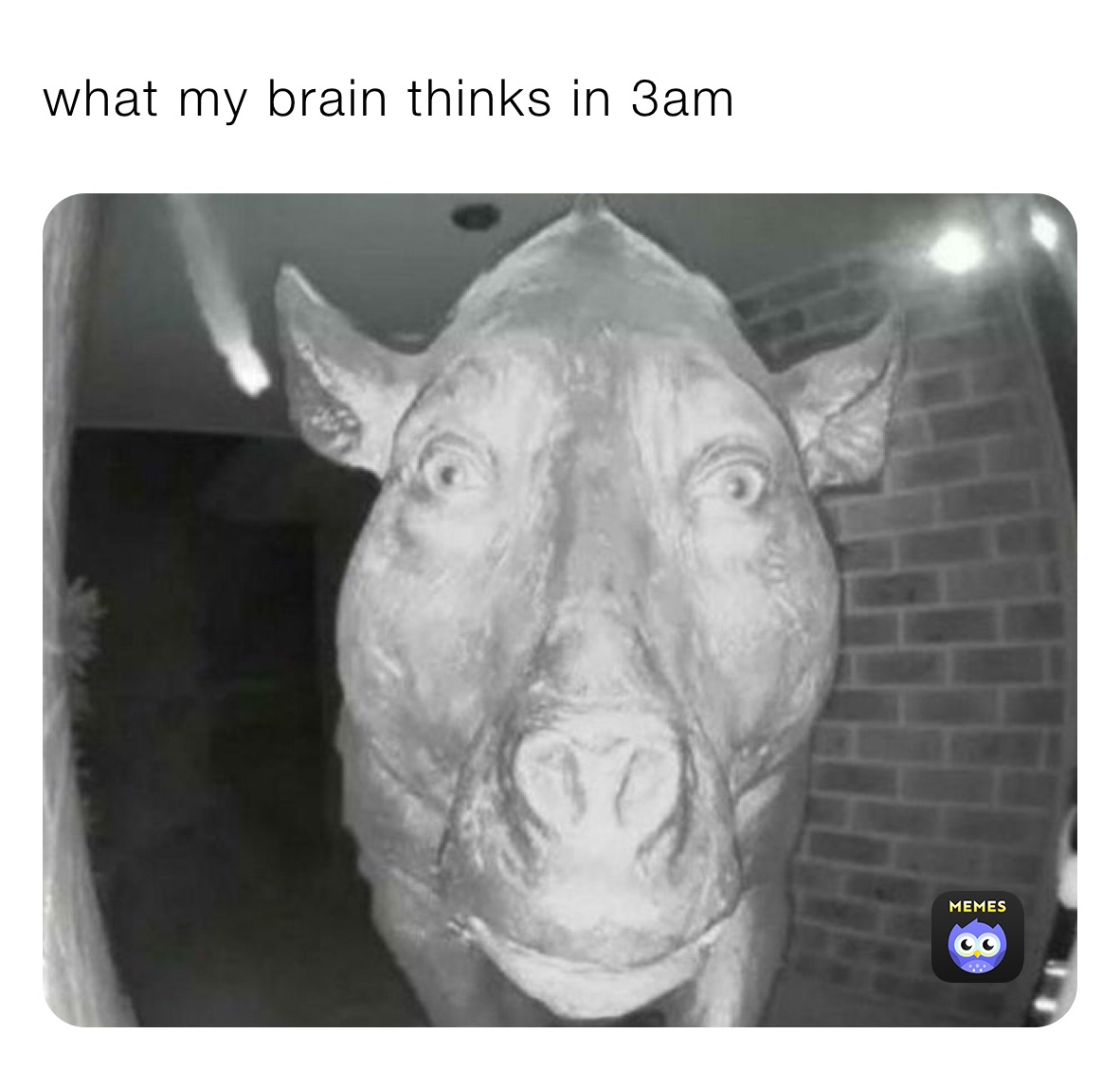 what my brain thinks in 3am