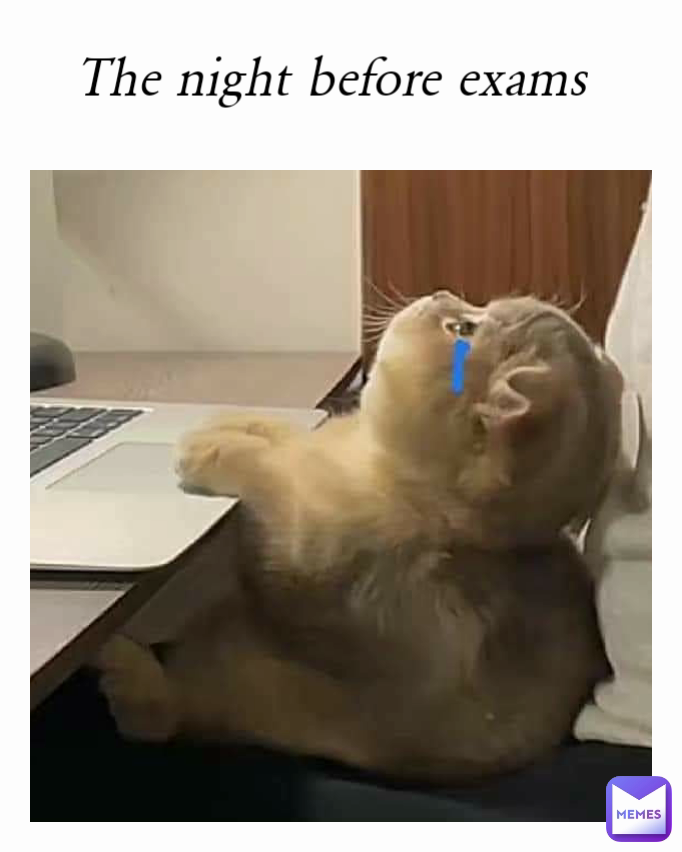 The night before exams