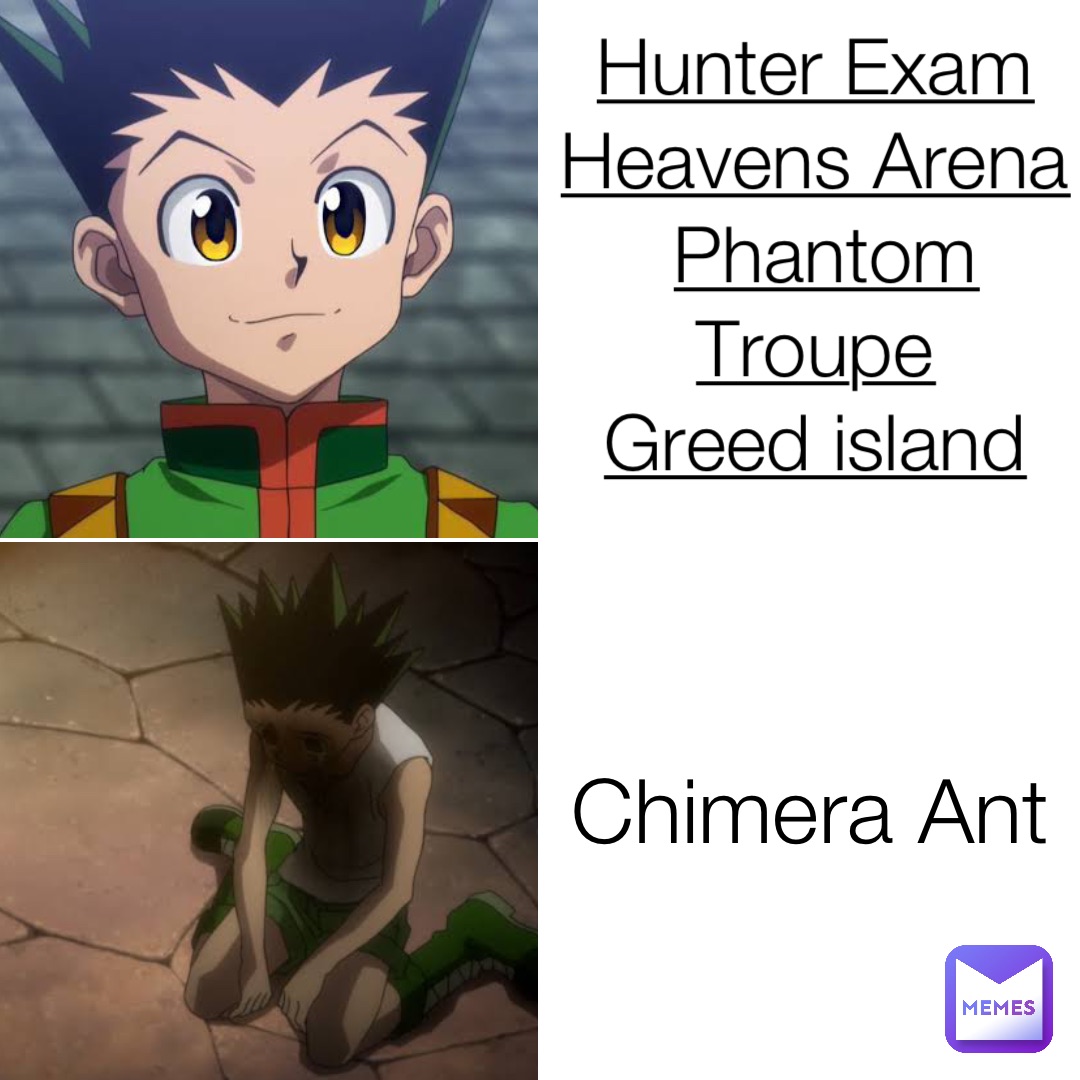 Hunter Exam
Heavens Arena
Phantom Troupe
Greed island Chimera Ant